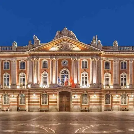 Pres Centre Historique - Terrasse- Jardin Japonais * Toulouse